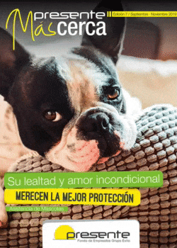 Edición 7 - Seguros Mascotas